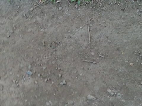 路上で胸チラ編