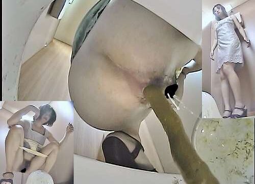 【個人撮影】汲み取り仮設トイレ②