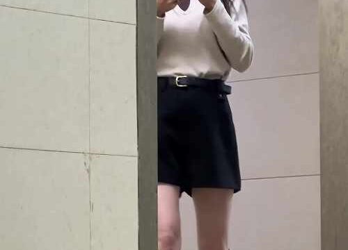 Asian toilet voyeur 1630