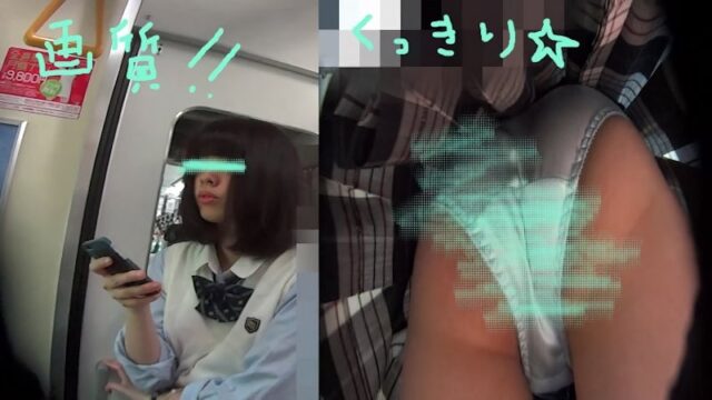 パンチラ小人目線☆☆(pa-to22)[電車編] [284MB]