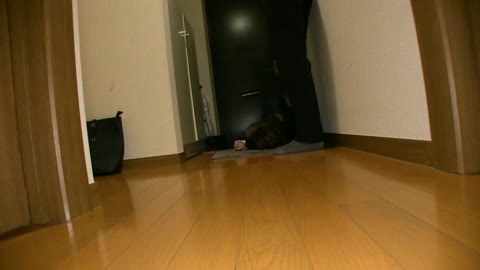 大手飲食●●●●●グループ営業部、アイドル社員の無防備なマンコに中出し