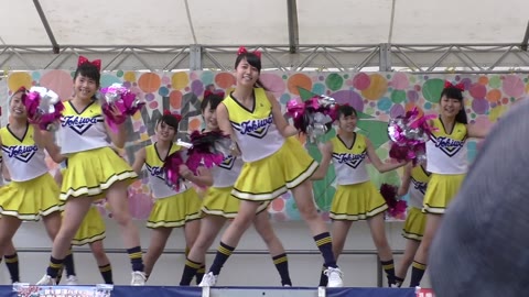 美人揃いチアチーム03