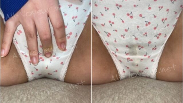 【４K】アプリで知り合ったお姉さん♪パンツの上からなでなで☆オナ動画を送ってもらいました♪パンツじゅわぁ