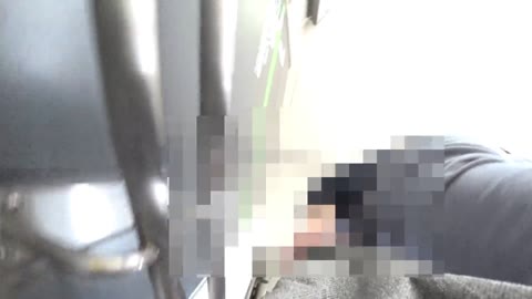 真・玄人痴漢 ファイル 003