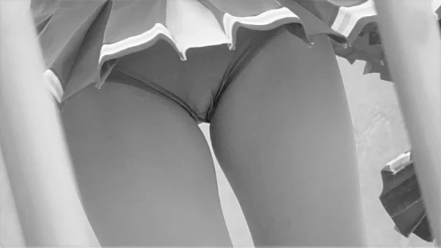 チア212 [1GB]