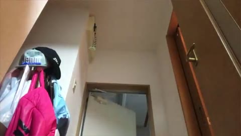 (エース)見えちゃうライブ 20