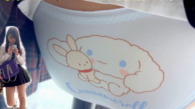 [4K]ハプニング連発ｗｗえちえち赤チェスカートちゃんのかわいいすぎるパンツ連続撮り♡