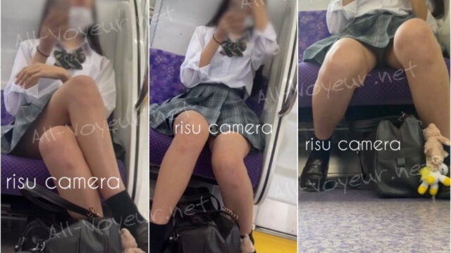 電車内対面鳥