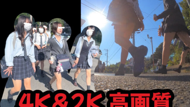 24h限定値下げ！顔アリ‼︎アントマン⑤4K&2K高画質 3GB