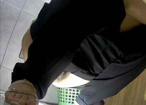 Asian toilet voyeur 1662