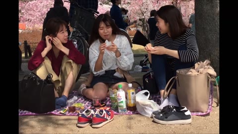 【癒しのオアシス181】ぴちぴち！！可愛すぎる３人組のお花見風景