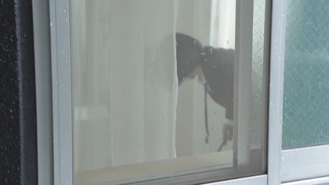【女子寮】童顔美巨乳の新入社員!!!撮影バレしてから全裸で肉肉しいボディをたっぷり見せつけ♡【爆乳OL/純白パンツ】