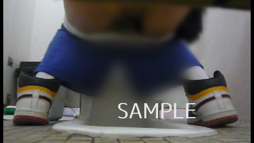 口内トイレ盗撮　特別編集編