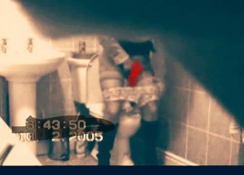 トイレオナ3