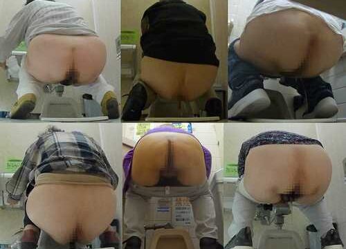 HD Japanese Toilet Style.280