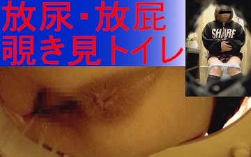 【盗撮】真・トイレ放尿放屁黙示録　其の伍（屁音試聴あり）