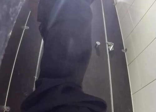 Asian toilet voyeur 1001