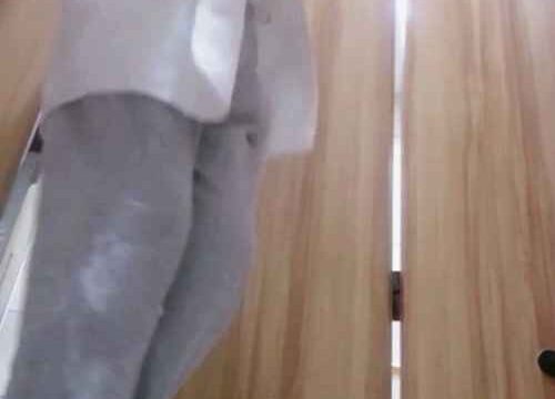 Asian toilet voyeur 1061