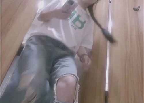 Asian toilet voyeur 1072