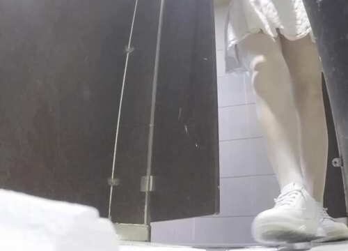 Asian toilet voyeur 1171
