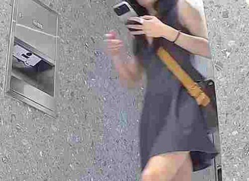 Asian toilet voyeur 1193