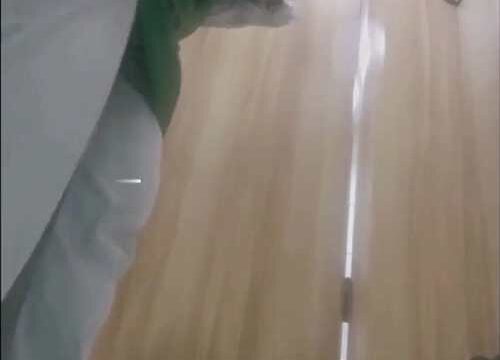 Asian toilet voyeur 1229