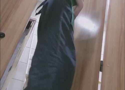 Asian toilet voyeur 1311