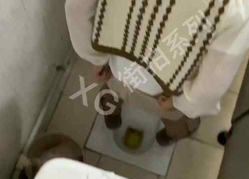 Asian toilet voyeur 1327