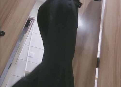 Asian toilet voyeur 1378