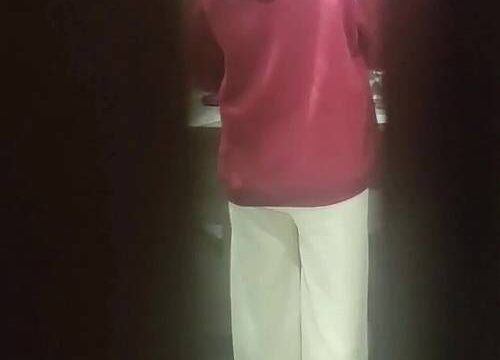 Asian toilet voyeur 1408