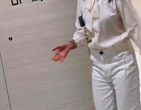 Asian toilet voyeur 1480