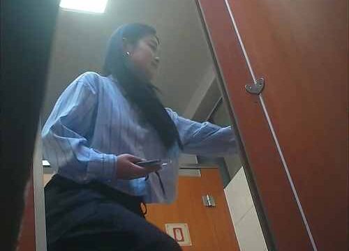 Asian toilet voyeur 1515