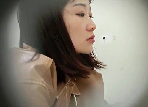 Asian toilet voyeur 1517