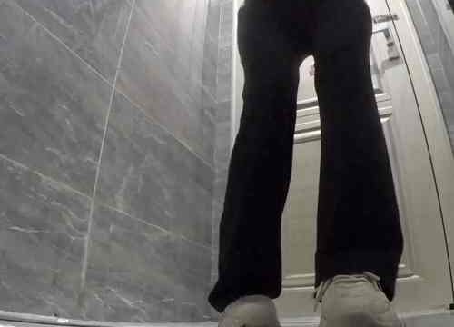 Asian toilet voyeur 1533