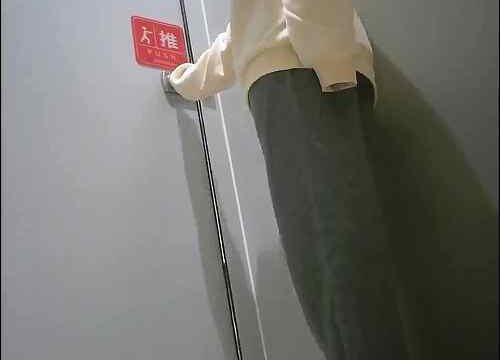 Asian toilet voyeur 1556