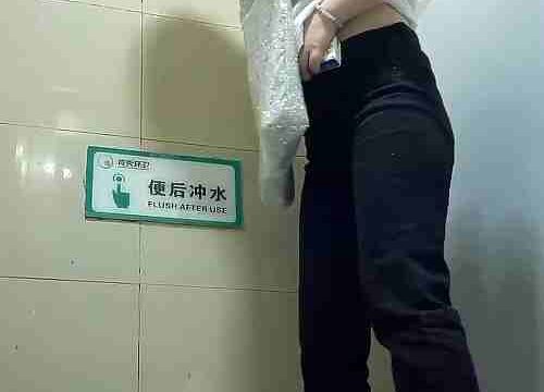 Asian toilet voyeur 1567