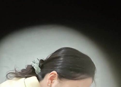 Asian toilet voyeur 1626