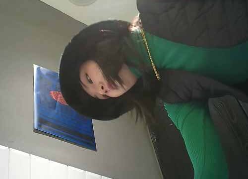 Asian toilet voyeur 1706