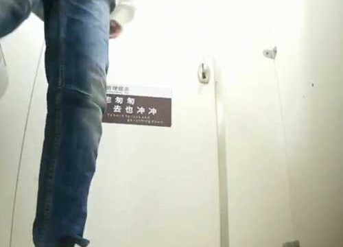 Asian toilet voyeur 919