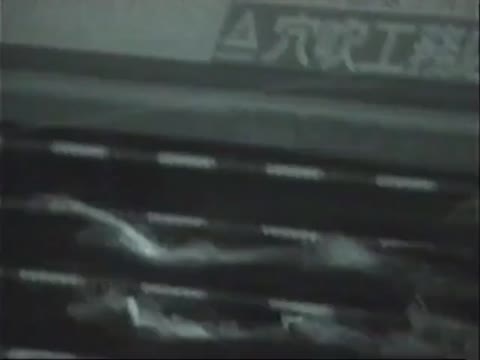 水泳大会を見てきました。　2