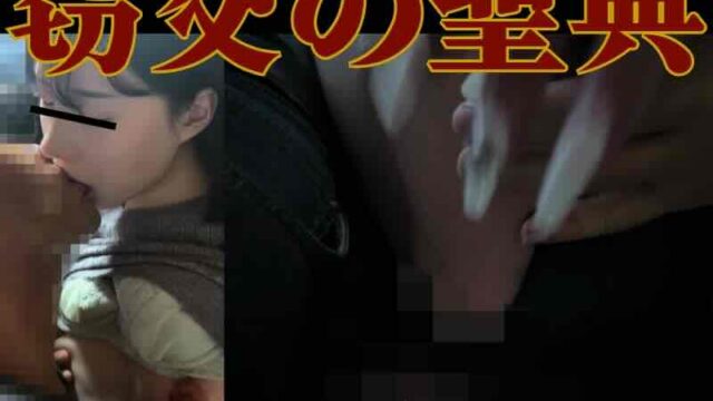 [窃罪カンスト/L級美人]バイブル・オブ・窃交