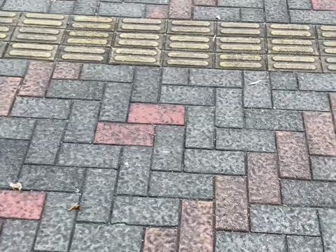 透けパン美人追跡5