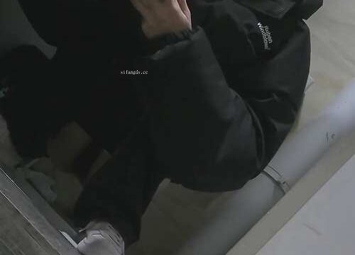 Asian toilet voyeur 1212
