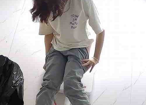 Asian toilet voyeur 1423