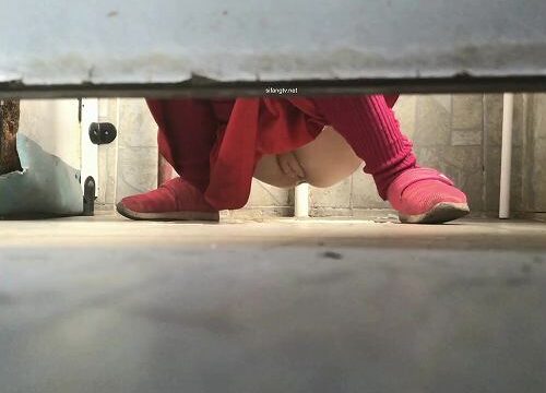 Asian toilet voyeur 520