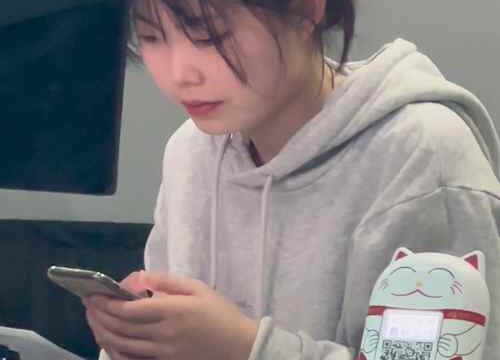Asian toilet voyeur 704