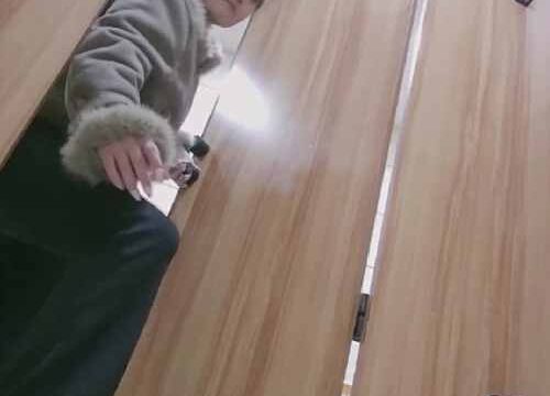 Asian toilet voyeur 923
