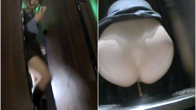 【トイレ盗撮】飲み屋のお姉さんのうんち姿 細くて長い、線のような美しいうんち