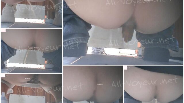toilet-hidden-cameras红色短裙妹妹尿尿显露出超长阴毛