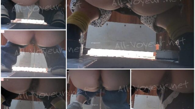 toilet-hidden-cameras多位女神入厕脱下内裤竟然从骚穴黑到菊花